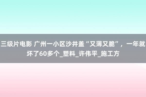 三级片电影 广州一小区沙井盖“又薄又脆”，一年就坏了60多个_塑料_许伟平_施工方