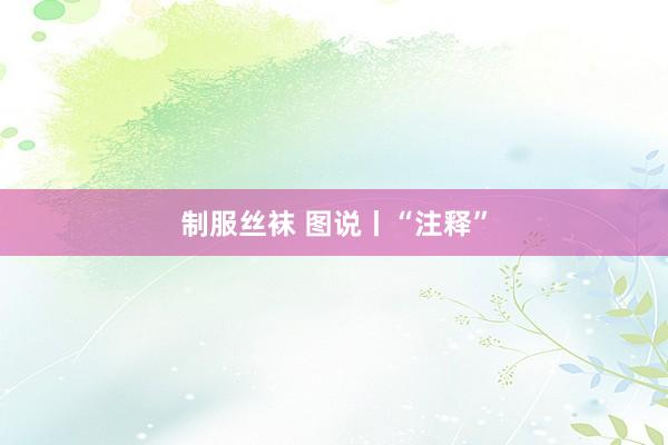 制服丝袜 图说丨“注释”