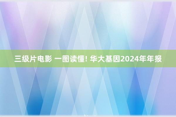 三级片电影 一图读懂! 华大基因2024年年报