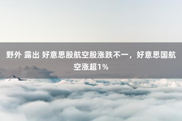 野外 露出 好意思股航空股涨跌不一，好意思国航空涨超1%