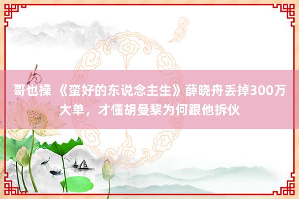 哥也操 《蛮好的东说念主生》薛晓舟丢掉300万大单，才懂胡曼黎为何跟他拆伙