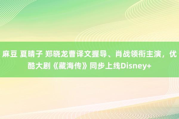 麻豆 夏晴子 郑晓龙曹译文握导、肖战领衔主演，优酷大剧《藏海传》同步上线Disney+