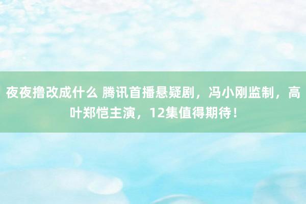 夜夜撸改成什么 腾讯首播悬疑剧，冯小刚监制，高叶郑恺主演，12集值得期待！