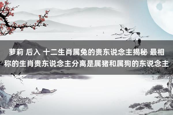 萝莉 后入 十二生肖属兔的贵东说念主揭秘 最相称的生肖贵东说念主分离是属猪和属狗的东说念主